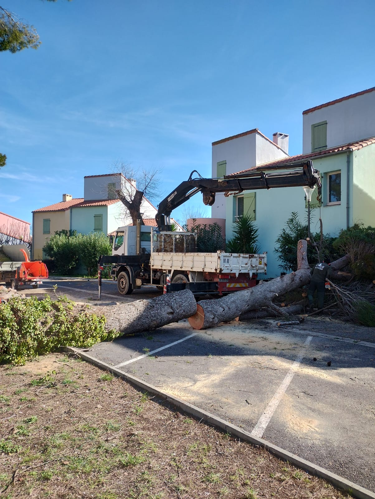 Cliquez pour agrandir