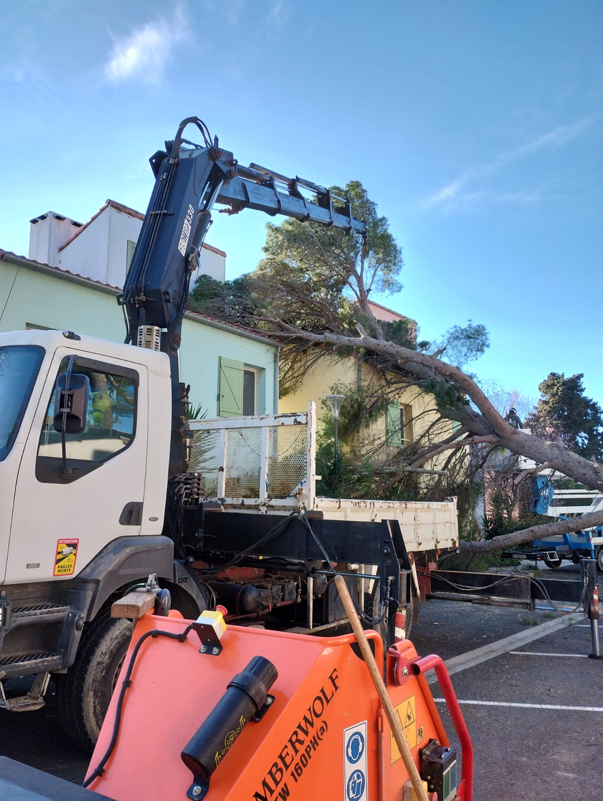 Cliquez pour agrandir