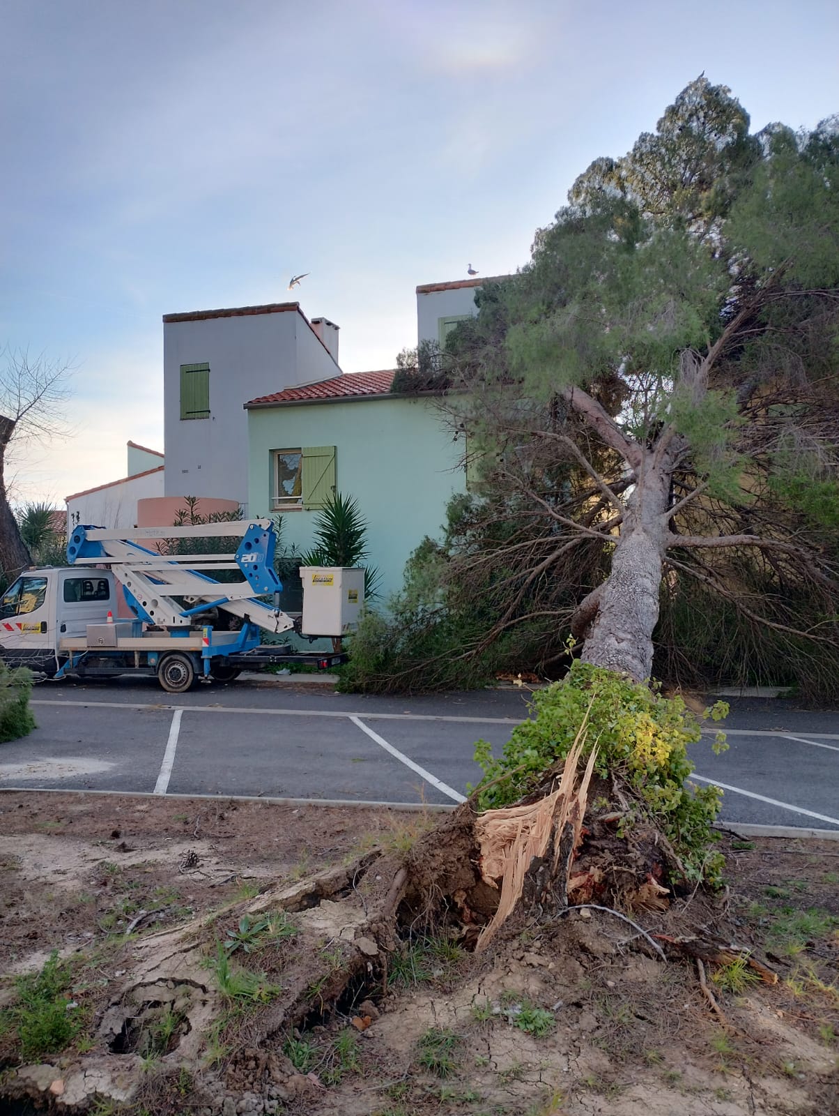 Cliquez pour agrandir