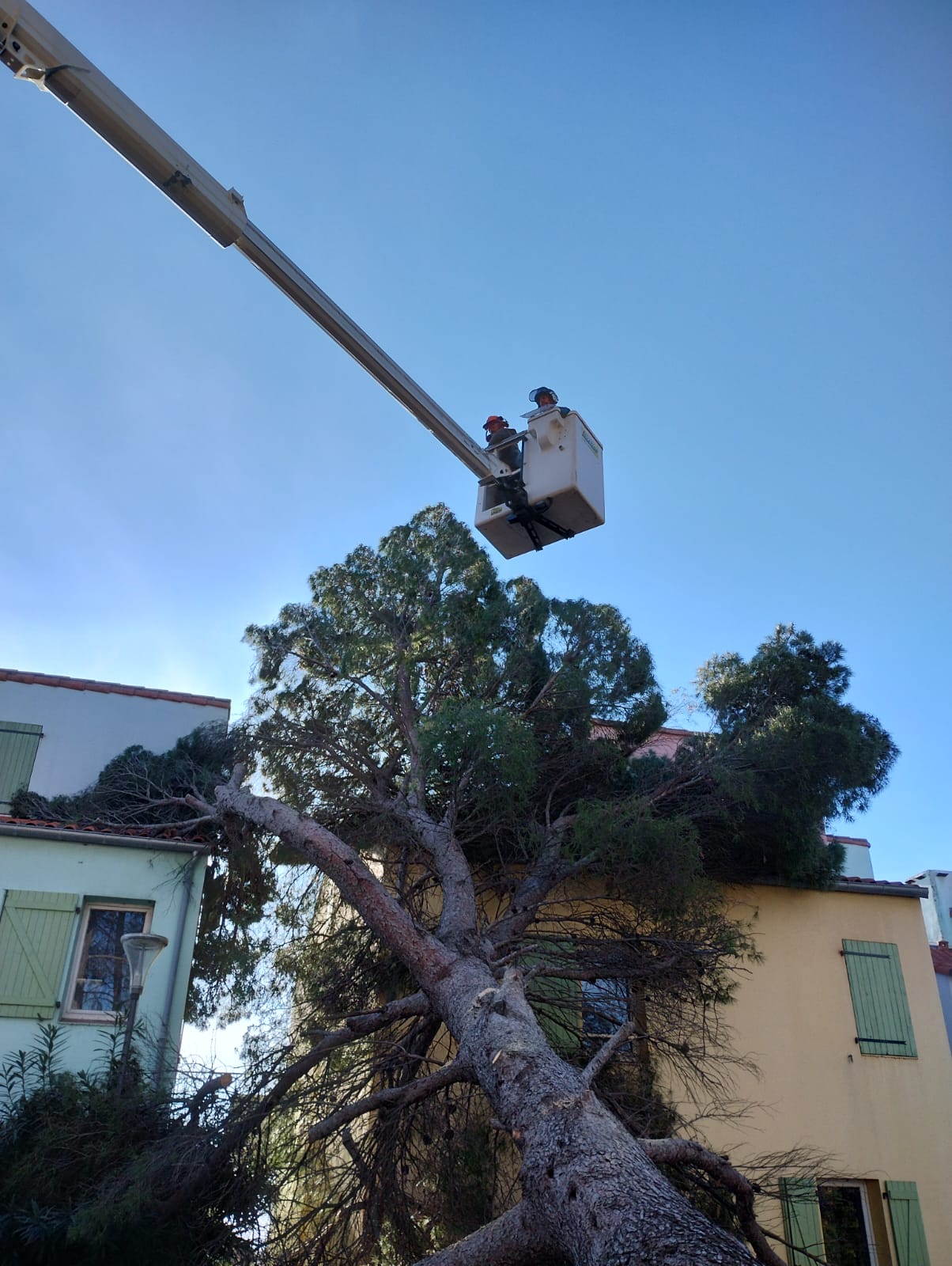 Cliquez pour agrandir