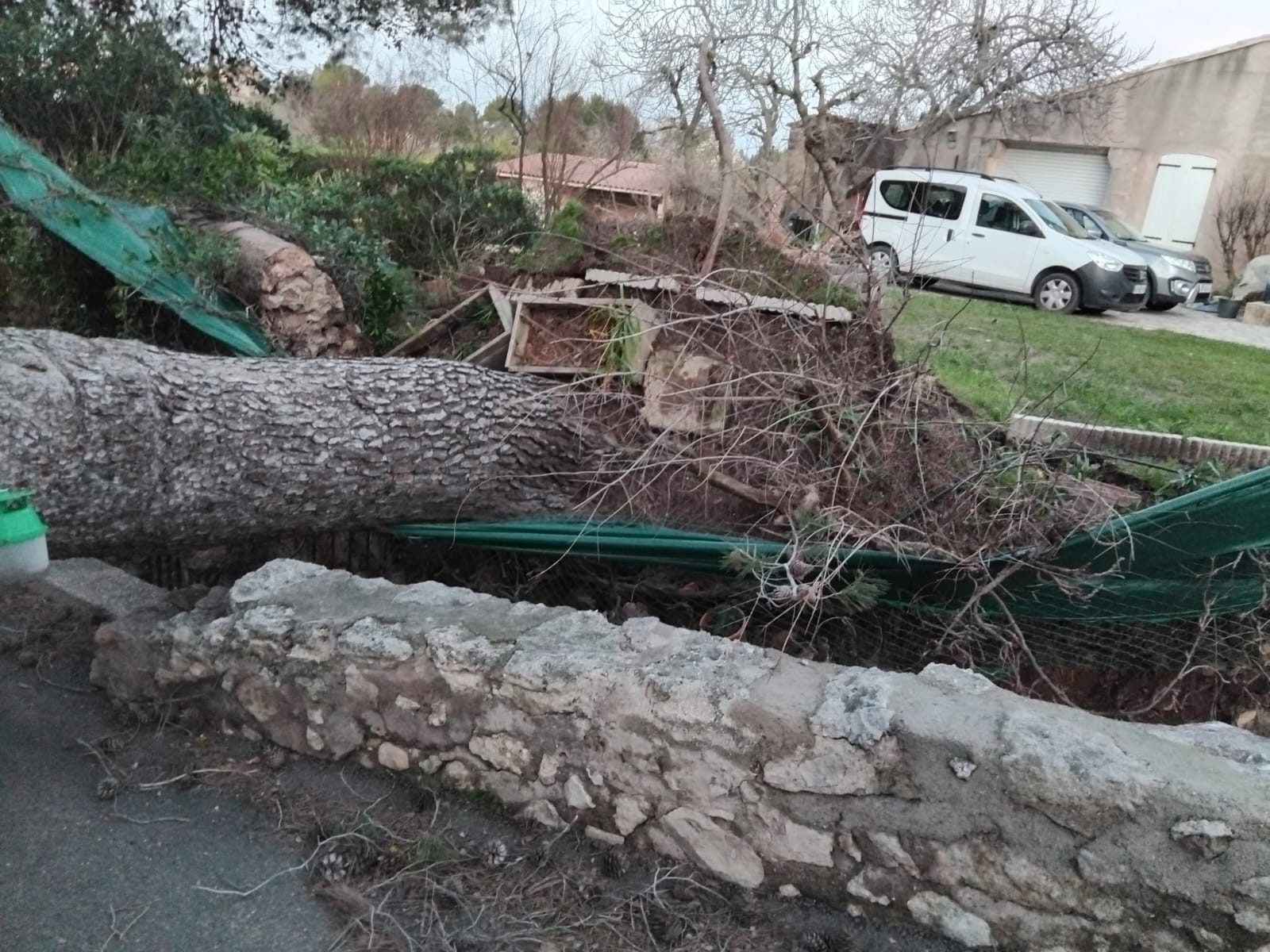 Cliquez pour agrandir