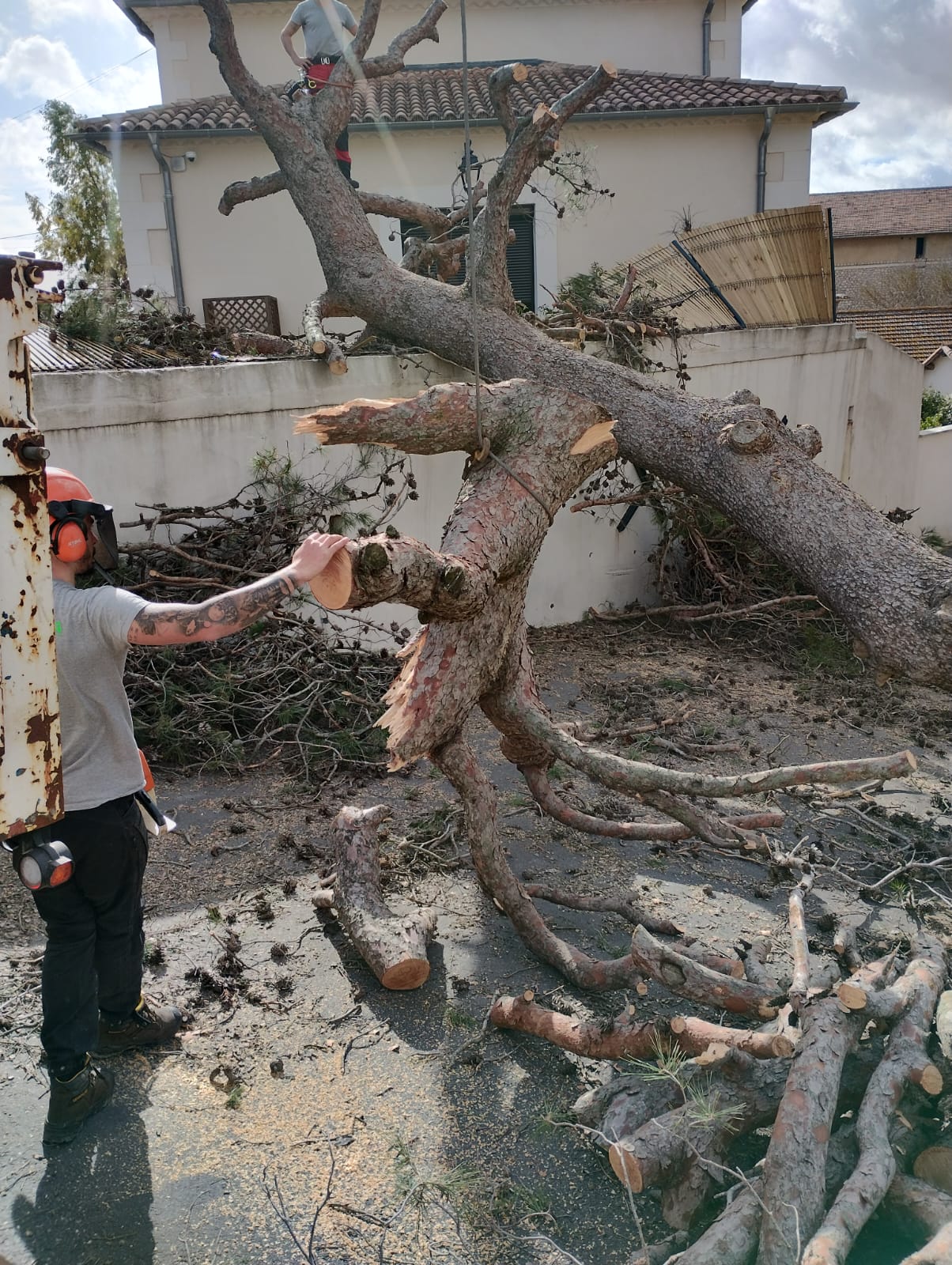 Cliquez pour agrandir