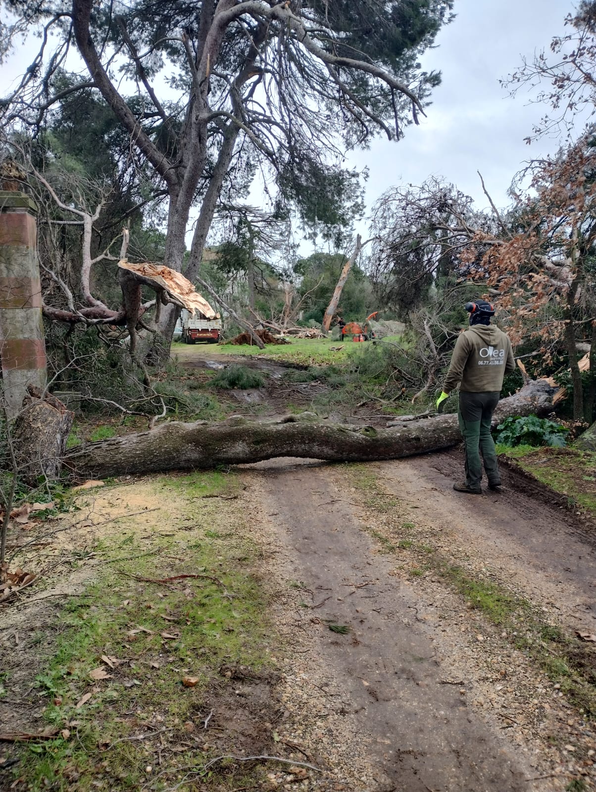 Cliquez pour agrandir