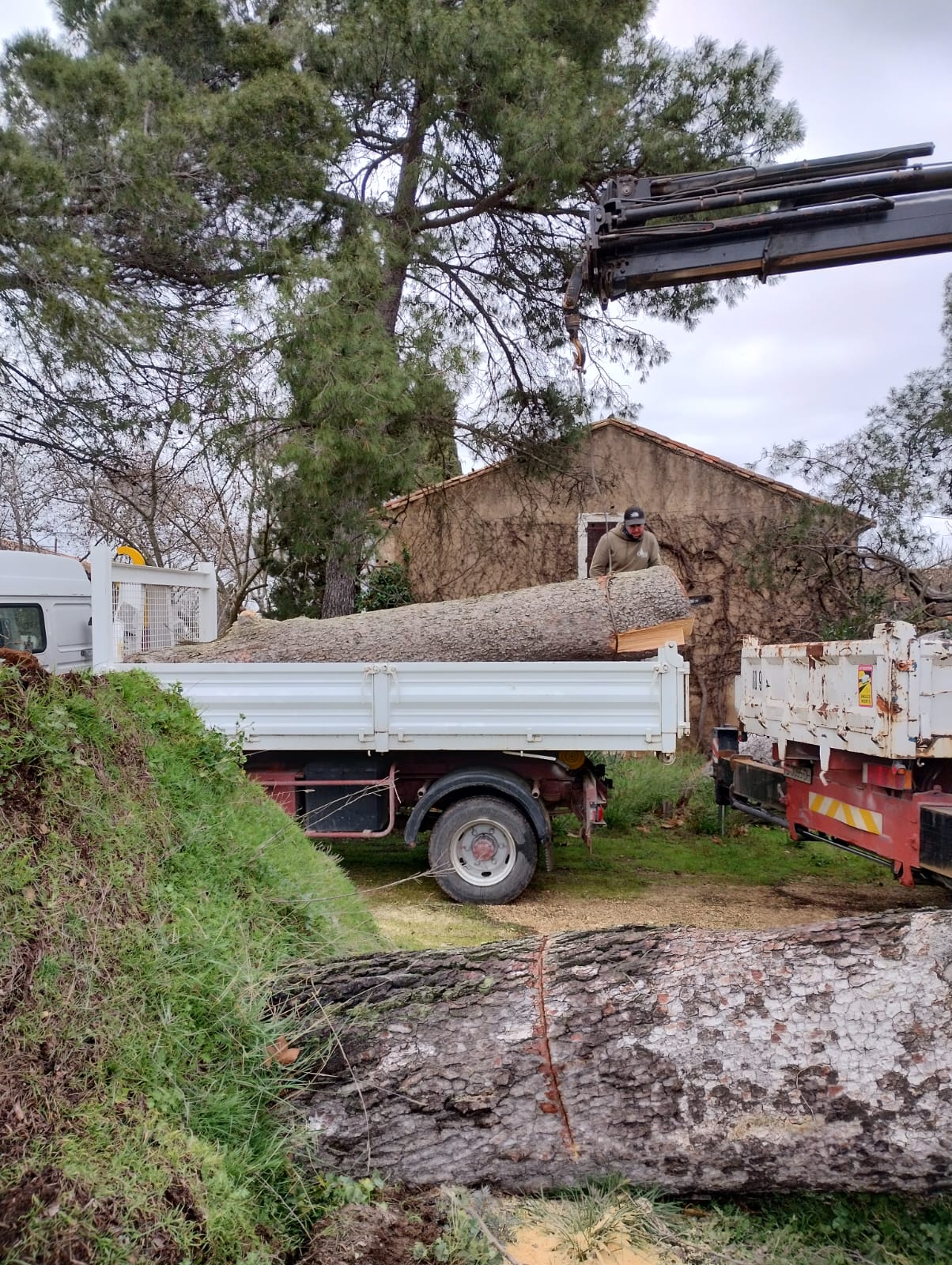 Cliquez pour agrandir