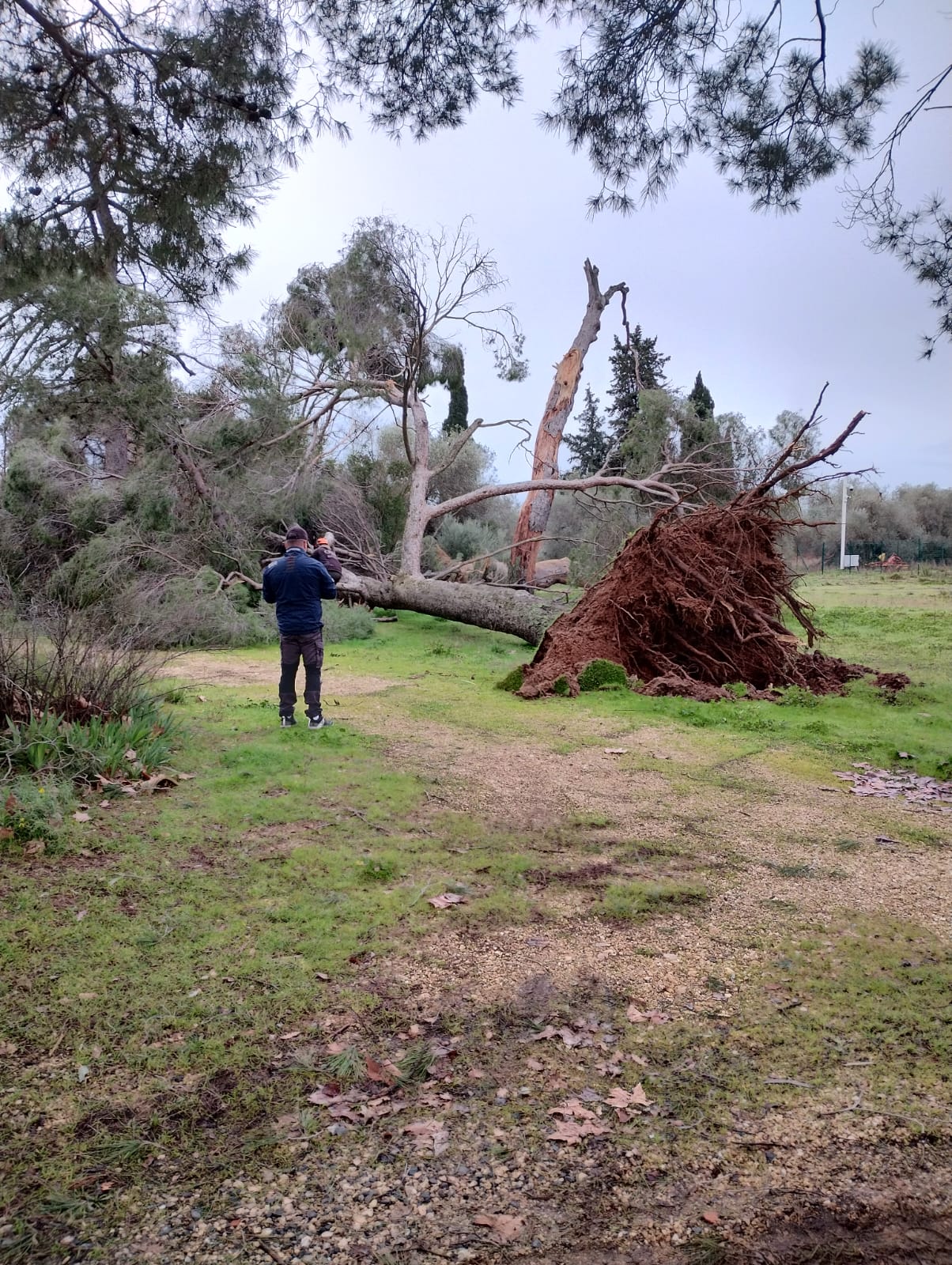 Cliquez pour agrandir