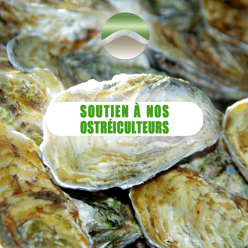 En savoir plus Visuel