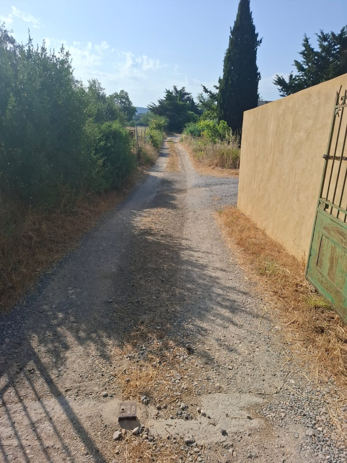Cliquez pour agrandir