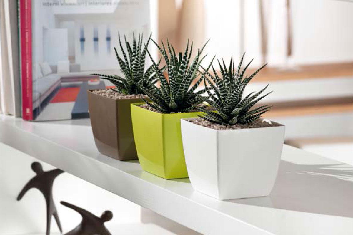 Grand choix de pots pour vos plantes
